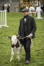 Imagen de Todas las... (T1): Ep.5 La feria - 1