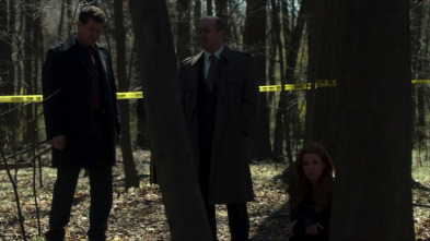 Imagen de Imborrable (T1): Ep.22 El hombre de los bosques - 11