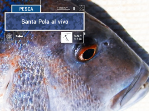 Imagen de Santa Pola al vivo - 2