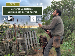 Imagen de Certeros Ballesteros: Zorzales con perros nuevos - 2