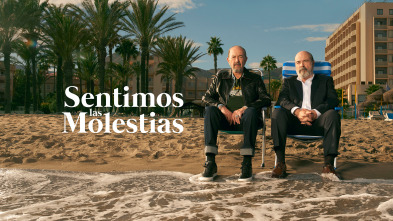 Imagen de Sentimos las molestias (T2) - 2