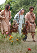 Imagen de The Chosen (Los... (T1): Ep.6 Compasión indescriptible - 1