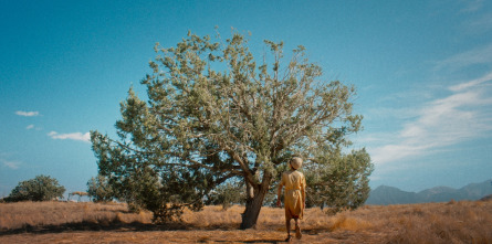 Imagen de The Chosen (Los... (T2): Ep.4 La ocasión perfecta - 2