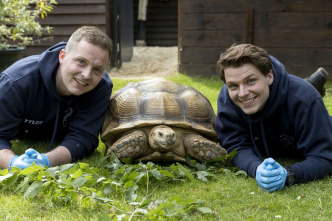Imagen de One Zoo Three: Leyendas del zoo - 3