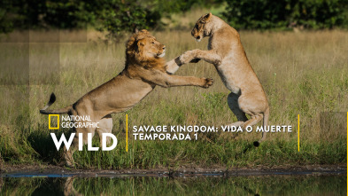 Imagen de Savage Kingdom  - 2