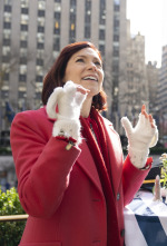 Imagen de Elsbeth (T1): Ep.1 Piloto - 2