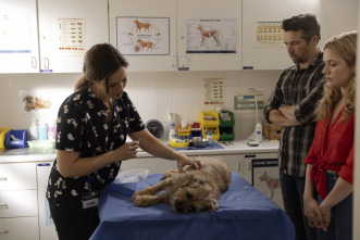 Imagen de Colin de cuentas (T1): Ep.1 La distracción - 6