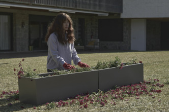 Imagen de Todos mienten (T2): Ep.2  - 13
