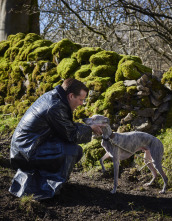 Imagen de Todas las... (T4): Ep.1 Instinto maternal - 9