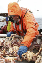 Imagen de Pesca radical: Ambición rubia - 2