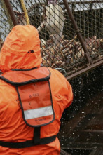 Imagen de Pesca radical: Capitanas - 1