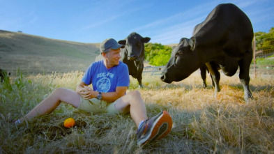 Imagen de Dirty Jobs (T8): Solución de problemas - 2