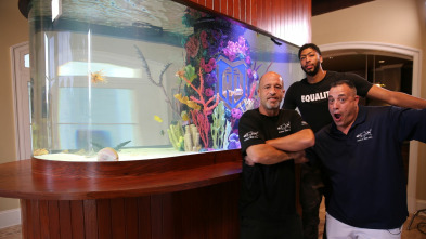 Imagen de Acuarios XXL: El acuario intelectual de Anthony Davis - 2