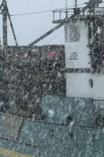 Imagen de Pesca radical (T4): Reprimenda - 1