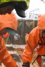 Imagen de Pesca radical (T5): Bloqueo - 1