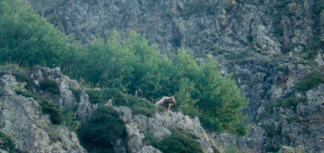 Imagen de ¿Quién mató a Cachou? - 14