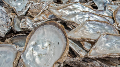Imagen de ¿Cómo lo hacen?: Buques Chinamax/Russian Standard/Orejas de mar - 2