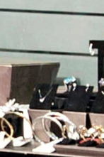 Imagen de Misterios en el museo: El proyecto Vórtex - 1