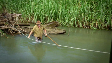 Imagen de El oro de los cocodrilos (T1): Ep.6 - 2
