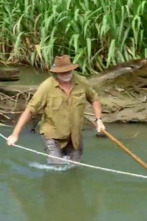Imagen de El oro de los cocodrilos (T1): Ep.6 - 1