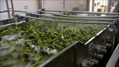 Imagen de Así se hace, Season 15: Volantes para coches de carreras, ensaladas mixtas y turbinas eólicas - 2