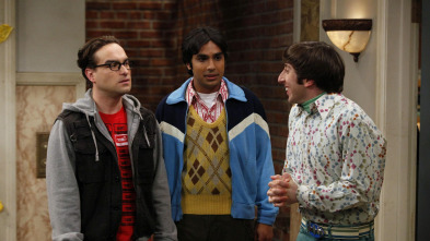 Imagen de Big Bang (T2): Ep.20 El isótopo Hofstadter - 2