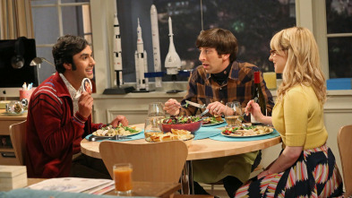 Imagen de Big Bang (T8): Ep.9 La desviación del tabique - 2