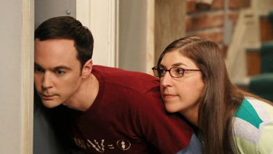 Imagen de Big Bang (T7): Ep.2 La verificación del engaño - 2