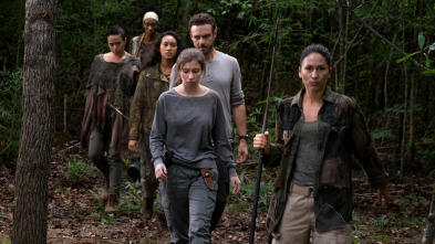 Imagen de The Walking Dead (T8) - 2