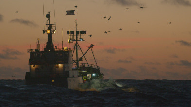 Imagen de Pesca radical (T14): Marejada ciclónica - 2