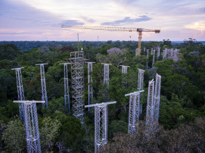 Imagen de El futuro de la naturaleza: Bosques - 1
