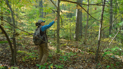 Imagen de El futuro de la naturaleza: Bosques - 7