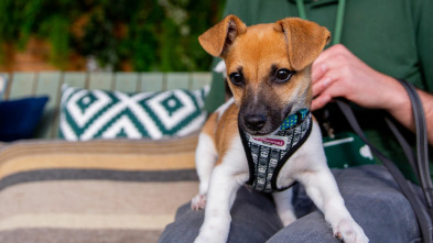 Imagen de The Dog House (T4): Ep.2 - 2