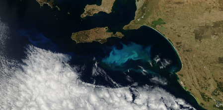 Imagen de Un año en órbita - 4