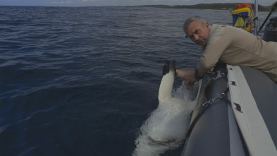 Imagen de Los últimos gigantes (T4): Ep.2 - 3