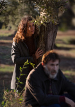 Imagen de Los destellos - 6