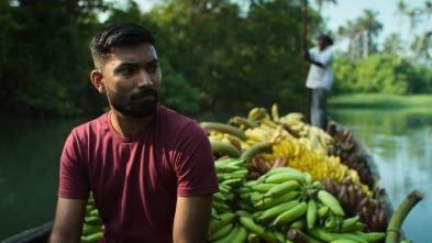 Imagen de Ingredientes para la vida: Plátano - 2