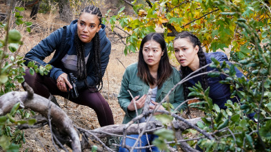 Imagen de S.W.A.T.:  Los... (T8): Ep.13 Posición elevada - 1