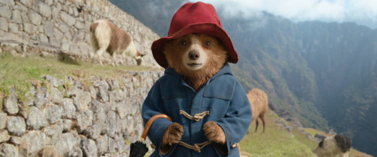 Imagen de Paddington: aventura en la selva - 7