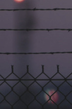 Imagen de American Cartel (T1): El diablo a la vuelta de la esquina - 1
