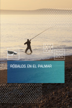 Imagen de Róbalos en El Palmar - 1
