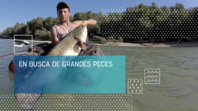 Imagen de En busca de peces grandes - 2