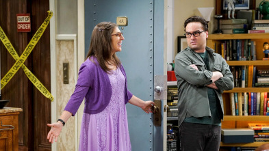 Imagen de The Big Bang Theory (T10): La conjetura conyugal - 4