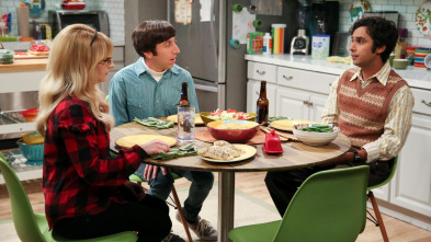 Imagen de Big Bang (T12): Ep.22 La conclusión maternal - 2