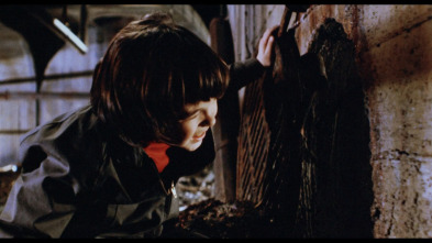 Imagen de Ben - 6