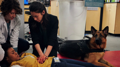 Imagen de Hudson y Rex (T1): Ep.7 Ensayo Y Error - 4