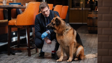 Imagen de Hudson y Rex (T2): Ep.15 Perro Viejo, Trucos Nuevos - 1