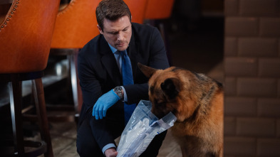Imagen de Hudson y Rex (T2): Ep.15 Perro Viejo, Trucos Nuevos - 3