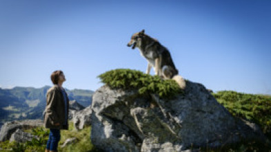 Imagen de Asesinato en el Sancy - 7