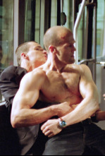 Imagen de Transporter - 15